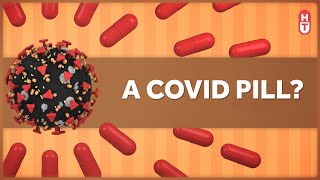 An Anti-viral Pill to Treat Covid