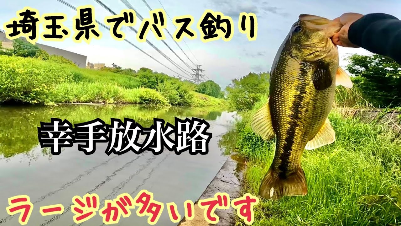 幸手放水路でバス釣り【埼玉県】