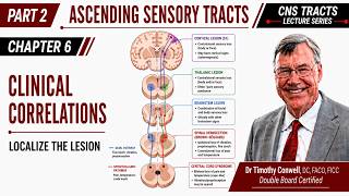 Sensory Lesion Localization: Brown-Séquard, Syringomyelia, Wallenberg & Romberg