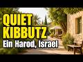 Ein Harod Israel | Relaxing Kibbutz Walking Tour 4K