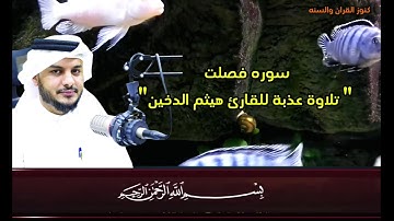 "سورة فصلت بتلاوة عذبة للقارئ هيثم الدخين"
