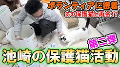 ふうちゃんらいちゃんねる Youtube