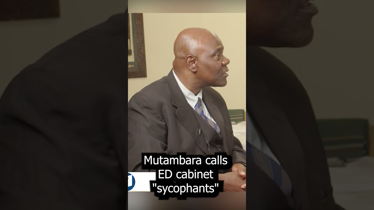 Mutambara calls ED cabinet sycophants 