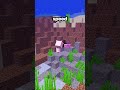 This player was half the size of other players on my Minecraft server #minecraft #server #smp