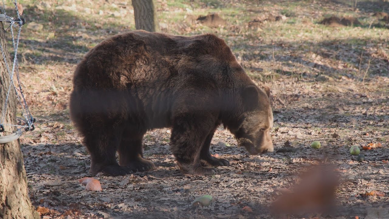 M5 TV – Erdei utakon – 2026/5. adás – 2026.02.01.