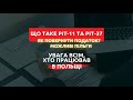 До уваги усіх, хто працював у Польщі. Що таке PIT-11 ta PIT-37? Як повернути податок?Можливі пільги.