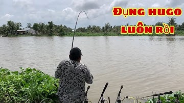 Câu Cá Tra Sông | Vừa Đổi Qua Chỗ Này Mới Quăng Câu Hugo Pen Luôn | Fishing Miền Tây