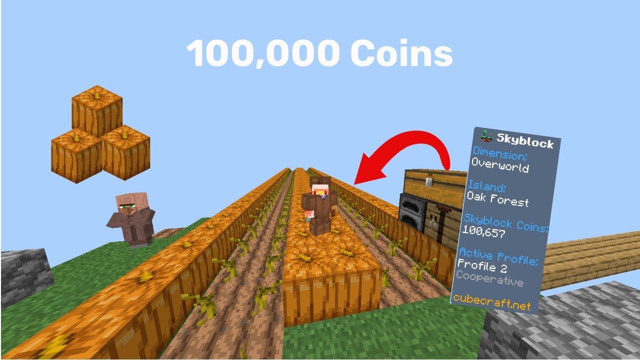 100,000 Coins in Cubecraft Skyblock! Cubecraft Skyblock Ep 1 - YouTube