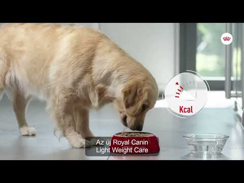 Royal Canin CCN LIGHTWEIGHT CARE HUN