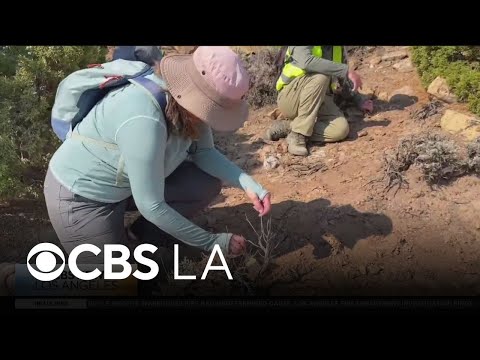 In the age of advancing technology, there’s still a need for scientific field exploration