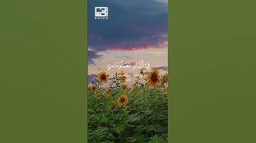 الآيات (27-28-29) من سورة الحج للقارئ #فارس_عباد