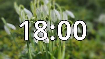18 Minutes Timer with Music | Spring Timer