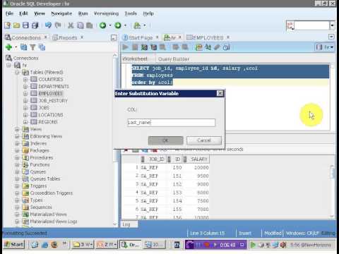 Substitution Variable - YouTube