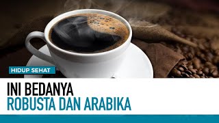 Pecinta Kopi Wajib Tahu! Ini Bedanya Arabika VS Robusta | Hidup Sehat