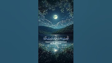 القران راحه نفسيه ، تلاوه عذبه💚 #اكسبلور #المصحف #راحة_نفسية #الرحمن