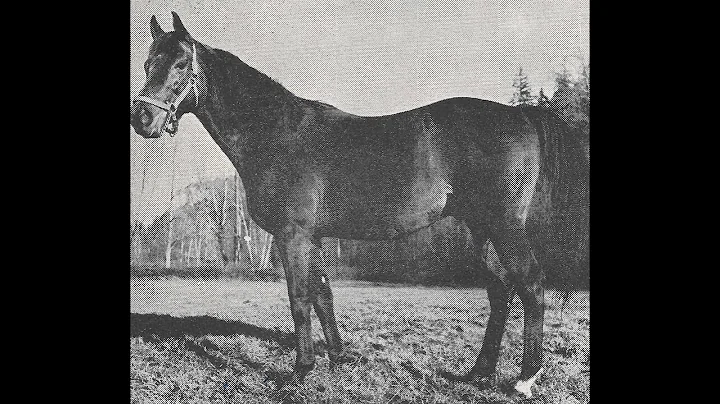 Lucille  Markey  And  The  Race  Horse  Tollesboro