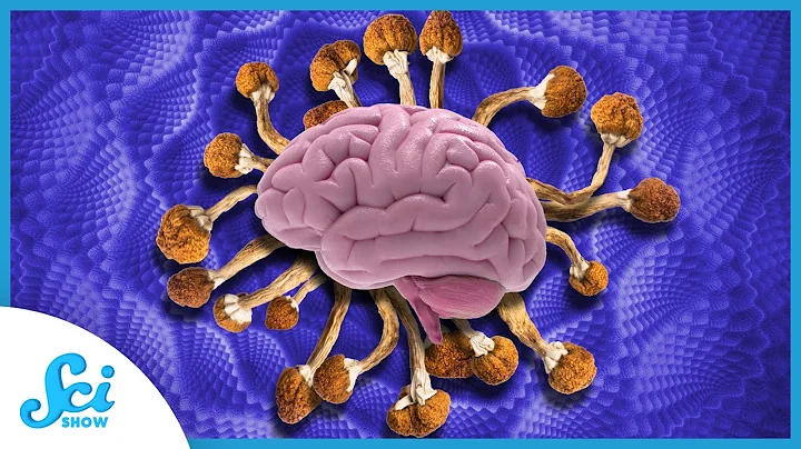 Your Brain on Psilocybin - DayDayNews
