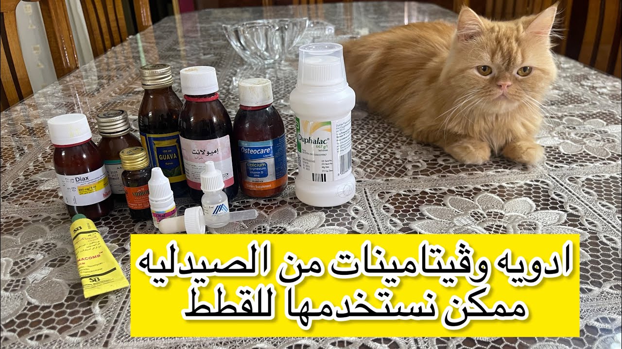 أدويه وڤيتامينات من الصيدليه لعلاج القطط