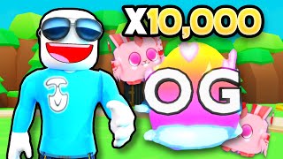 I Hatched 10,000 Season Og Eggs In Bubblegum Simulator Infinity
