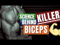 Biceps building biceps brachii actions