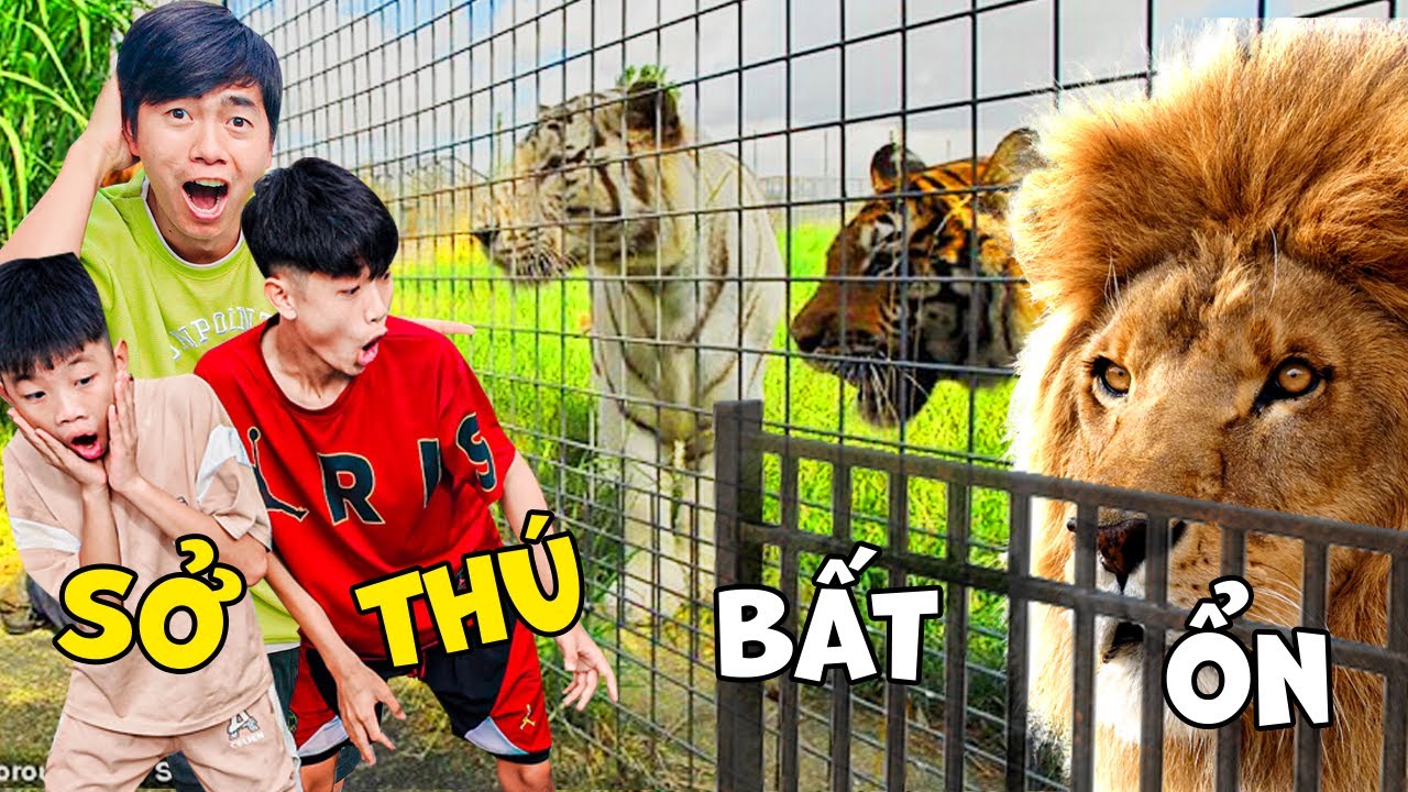 Thái Chuối Đại Náo Sở Thú Trong Mưa - Ngày Thăm Quan Bất Ổn
