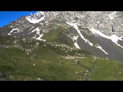 აბუდელაური