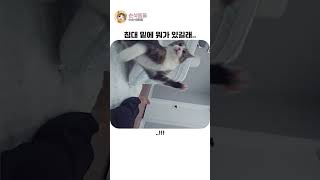 침대 밑에서 발견한 것은..?