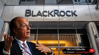 BLACKROCK: THE CONSPIRACIES YOU DON’T KNOW! #business #youtube #video #viralvideo #fyp #fy #facts
