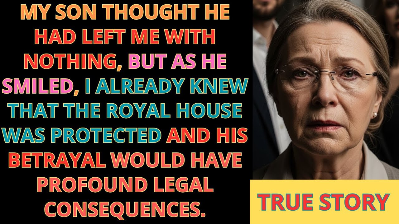 Мой сын украл всё и выгнал меня из дома… Но он совершил роковую ошибку.