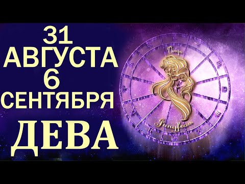31 августа день рождения. 2022 рыбы. Знаки зодиака характеристика. 31 дева. 818 значение числа.