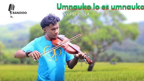 Umnauko lo es umnauko //cov: violin Jua Elu🎻ft. Zeraldo🎹