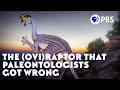 The (Ovi)Raptor That Paleontologists Got Wrong