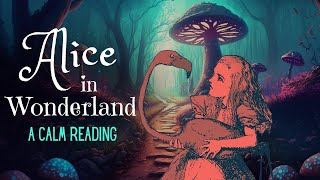 Reading of Alice in Wonderland - full audiobook - Story Reading for Sleep - Relaxing Reading screenshot 1