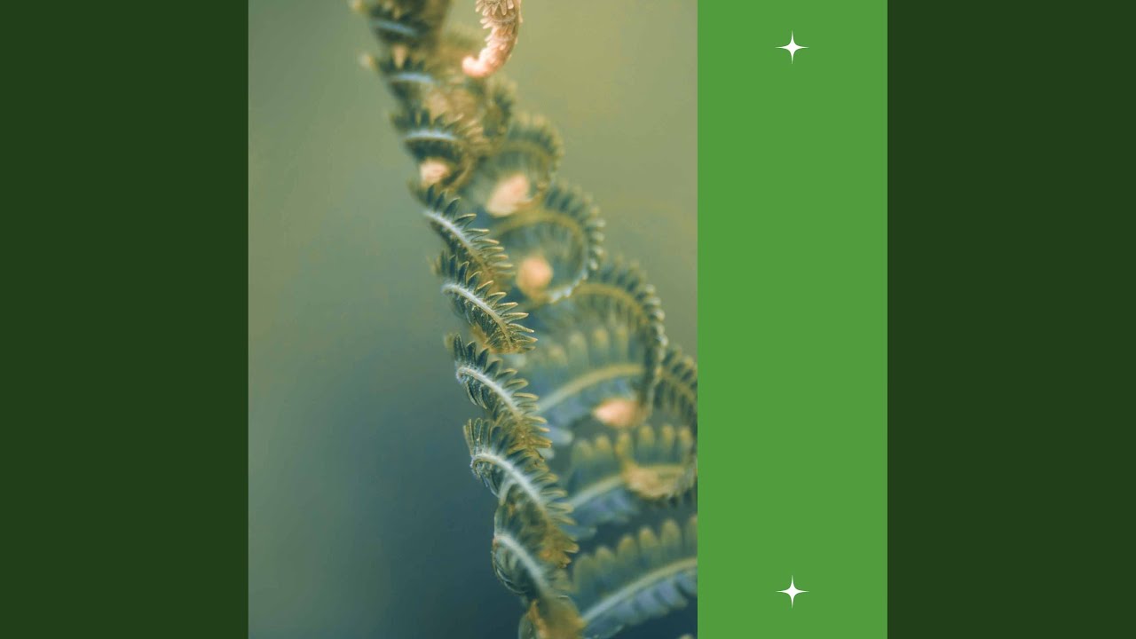 Deluxe Calming Sunday