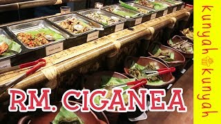 Paru Goreng Teruenaaak