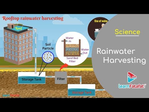 Water Class 6 Science - Rainwater Harvesting and Methods of Rainwater Harvesting