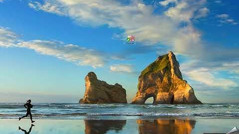 Visual Svn Server Manejo