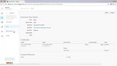 Package, Publish, and Manage APIs in Apigee Edge
