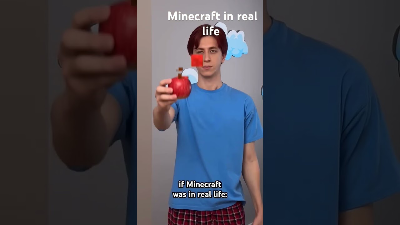 Minecraft in real life 😂