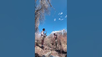 River flow saxophone loop #sample #music #saxophone #outdoors #nature #summer