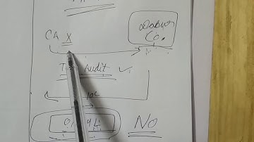 Sec 141 qualifications & disqualification of auditor.. Class 3 co. Audit