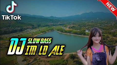 DJ IM LO ALE | breakbeat | TIK TOK SLOW BASS TERBARU 2021