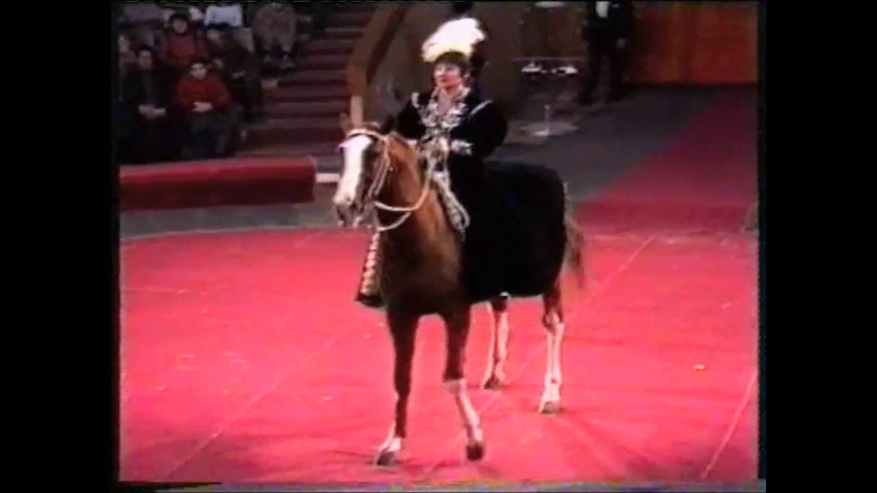 Высшая школа верховой езды. Людмила Кривых. Higher school of riding ...