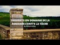 Rflexions sur la tche du domaine de la romaneconti