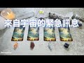 💛塔羅占卜| 來自宇宙的緊急訊：我當下的能量狀態以及需要知道的事(Timeless)
