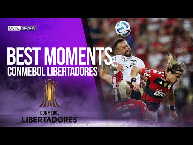 Futebol Libertadores 2023 for Android - Free App Download