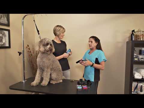 wahl motion lithium ion pet clipper