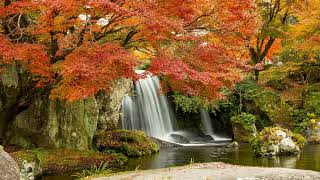 1 Hour Meditation Music with Beautiful picture #446 | Relaxing Meditation
