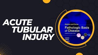 Acute tubular injury | Acute tubular necrosis | Causes | Pathogenesis | Clinical features