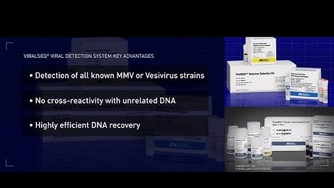 Cell Culture Contaminants: Mycoplasma and Viruses